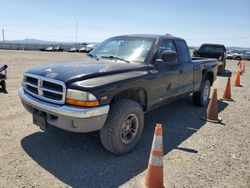 Vehiculos salvage en venta de Copart Vallejo, CA: 2000 Dodge Dakota