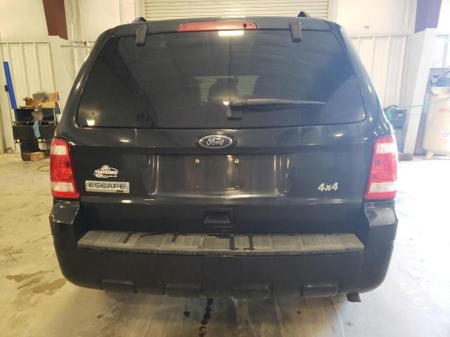 2010 Ford Escape XLT