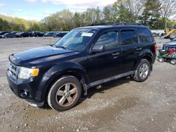 Salvage cars for sale from Copart North Billerica, MA: 2011 Ford Escape XLT