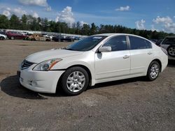 Nissan Vehiculos salvage en venta: 2010 Nissan Altima Base