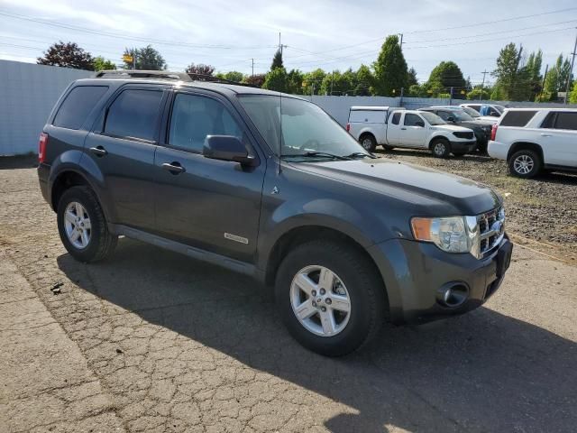 2008 Ford Escape HEV