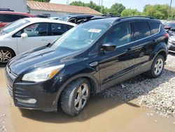 Ford Escape Vehiculos salvage en venta: 2016 Ford Escape SE