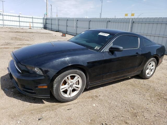 2014 Ford Mustang