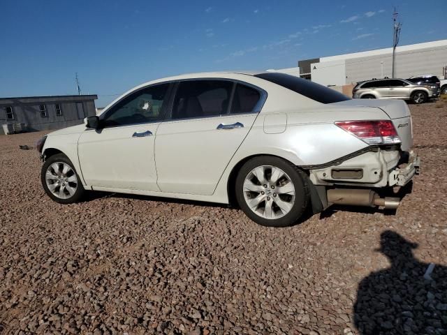 2008 Honda Accord EXL