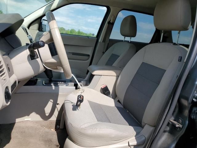 2008 Ford Escape XLT