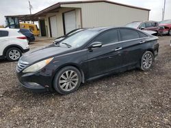 2014 Hyundai Sonata SE for sale in Temple, TX