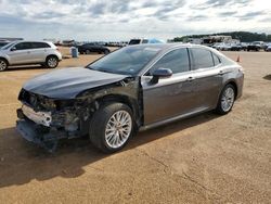 Toyota Camry xle salvage cars for sale: 2020 Toyota Camry XLE