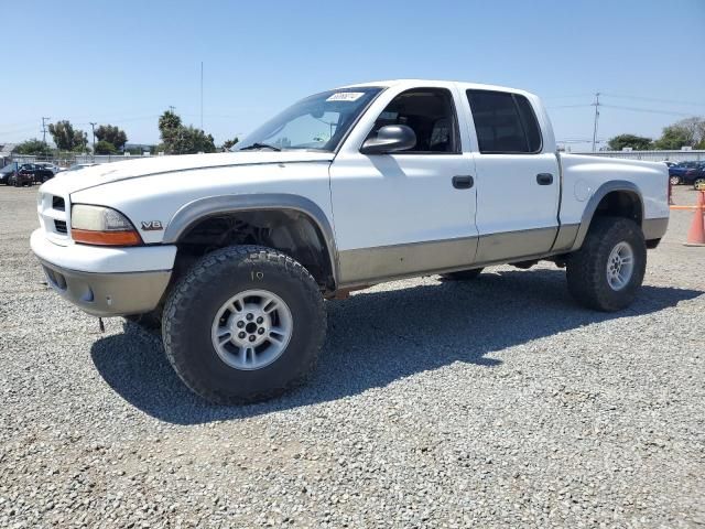 2000 Dodge Dakota Quattro