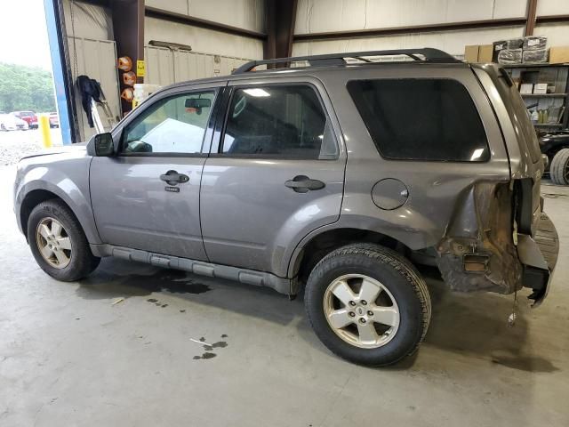 2011 Ford Escape XLT