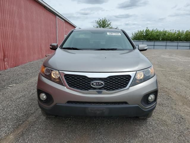 2011 KIA Sorento Base