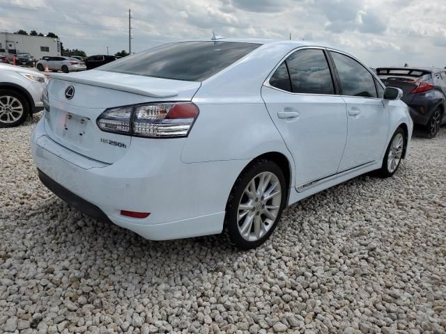 2010 Lexus HS 250H