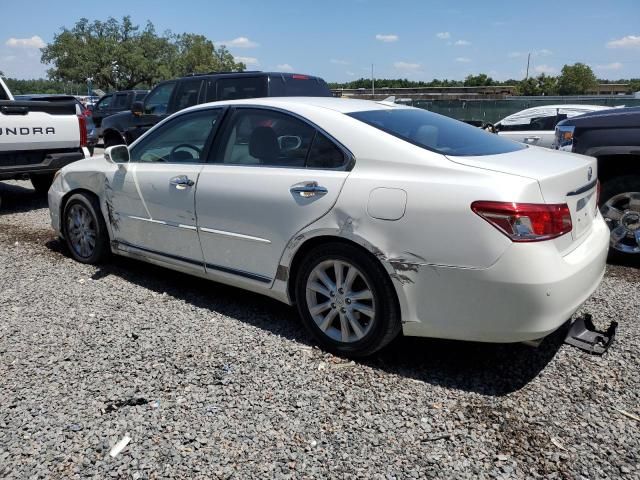 2011 Lexus ES 350