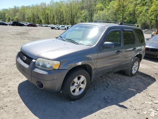 2005 Ford Escape XLT