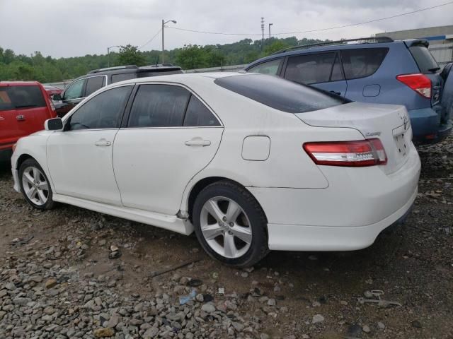 2010 Toyota Camry Base