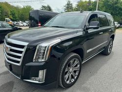 Cadillac Escalade Vehiculos salvage en venta: 2016 Cadillac Escalade Premium