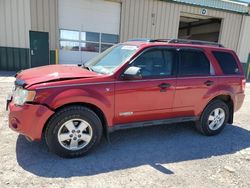 Ford salvage cars for sale: 2008 Ford Escape XLT