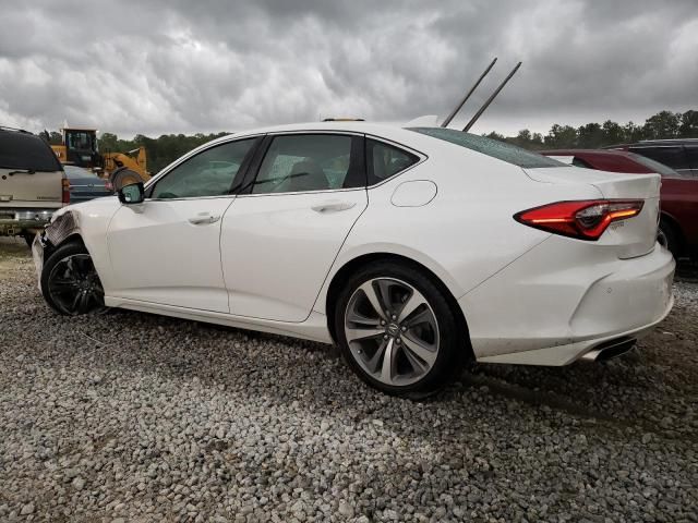 2023 Acura TLX Advance