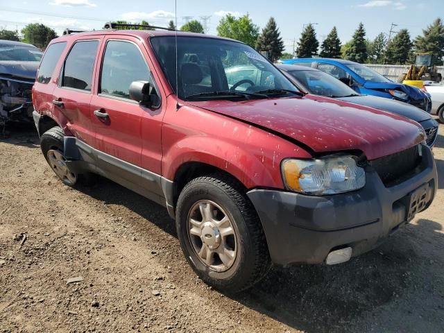 2003 Ford Escape XLT