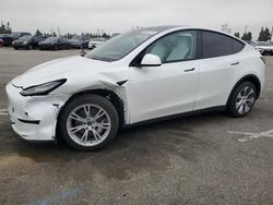 Salvage cars for sale from Copart Rancho Cucamonga, CA: 2022 Tesla Model Y