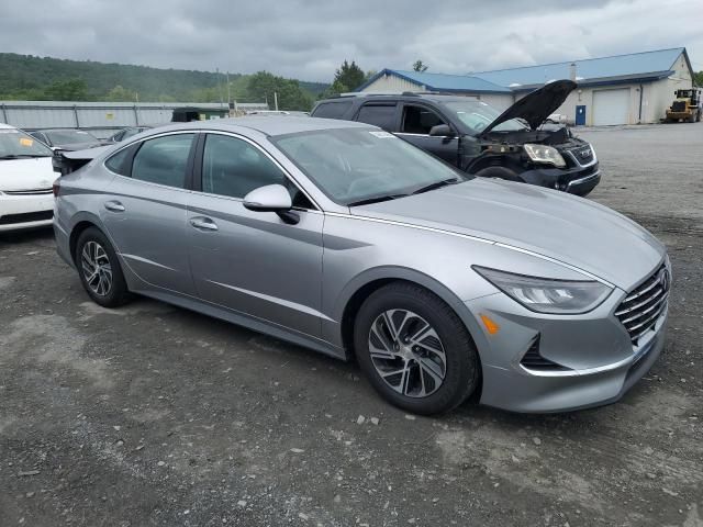 2021 Hyundai Sonata Hybrid