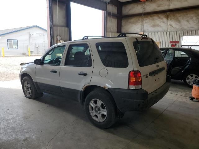 2004 Ford Escape XLT