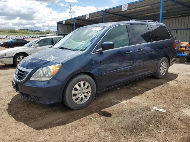 2010 Honda Odyssey EXL