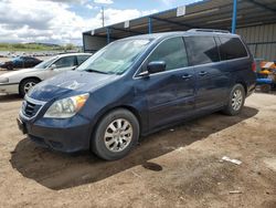 Honda salvage cars for sale: 2010 Honda Odyssey EXL