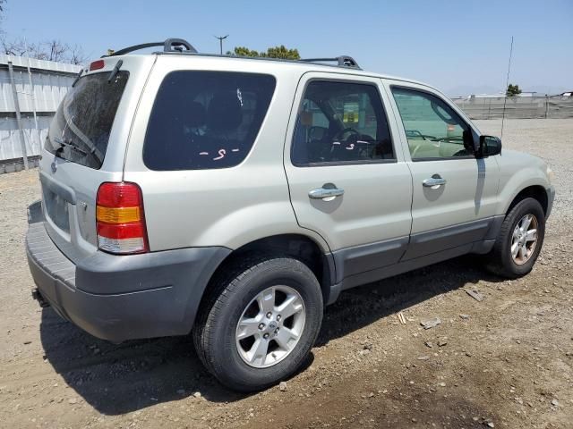 2005 Ford Escape XLT