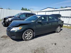 Toyota salvage cars for sale: 2010 Toyota Camry Base