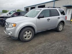 Ford Escape salvage cars for sale: 2012 Ford Escape XLT