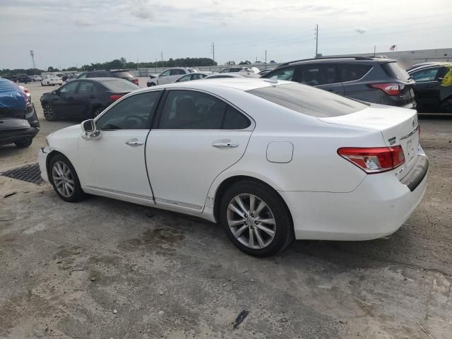 2010 Lexus ES 350