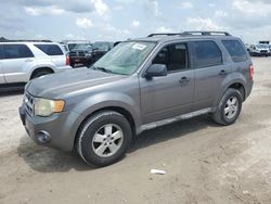 2009 Ford Escape XLT en venta en Houston, TX