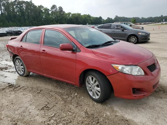 2009 Toyota Corolla Base