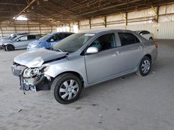 Vehiculos salvage en venta de Copart Phoenix, AZ: 2010 Toyota Corolla Base