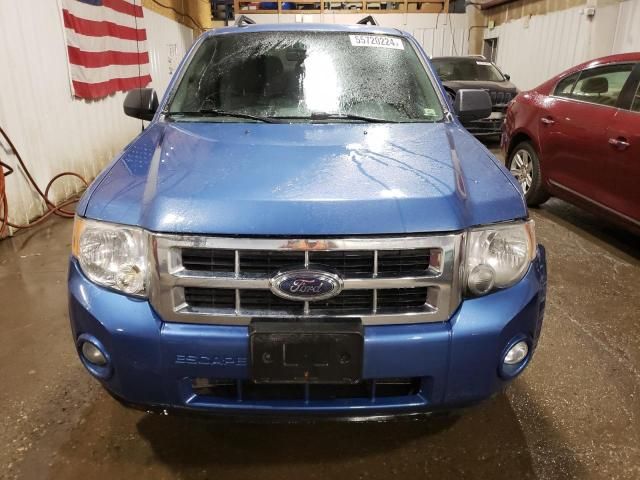 2009 Ford Escape XLT