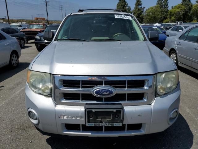 2010 Ford Escape XLT