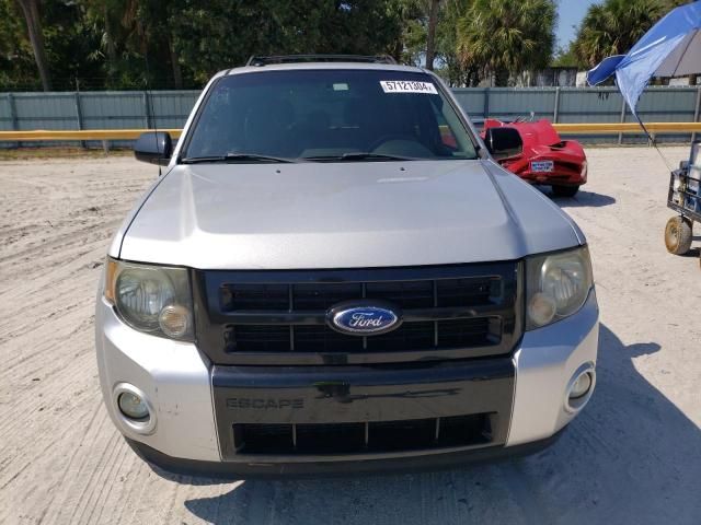 2011 Ford Escape XLT