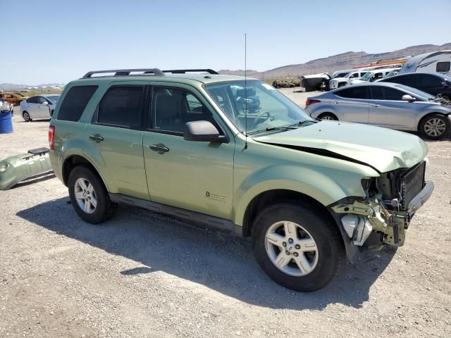 2010 Ford Escape Hybrid