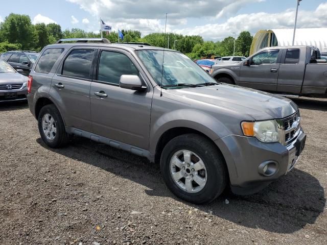 2010 Ford Escape Limited