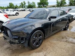 Dodge Charger salvage cars for sale: 2013 Dodge Charger SXT