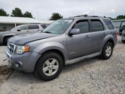 Ford Escape Vehiculos salvage en venta: 2008 Ford Escape HEV