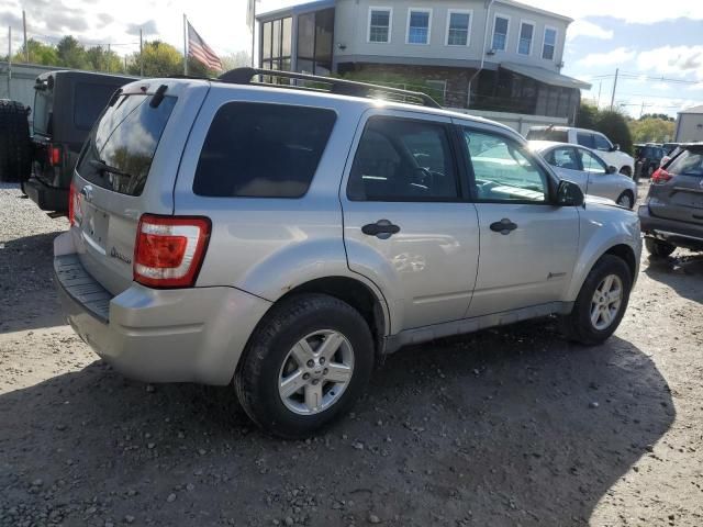 2008 Ford Escape Hybrid