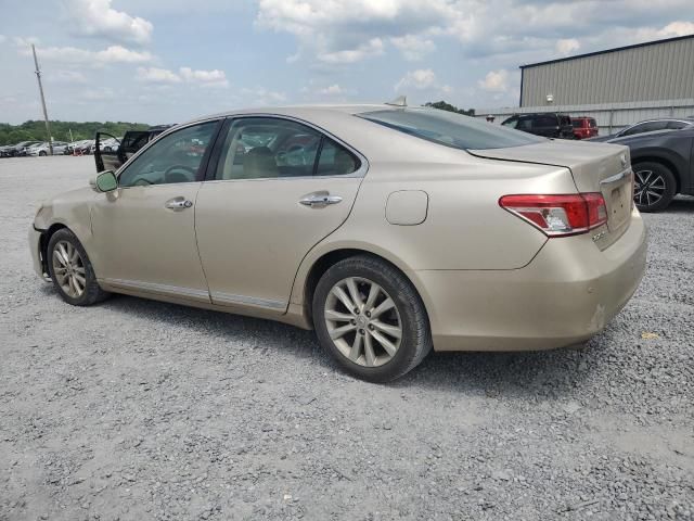 2010 Lexus ES 350