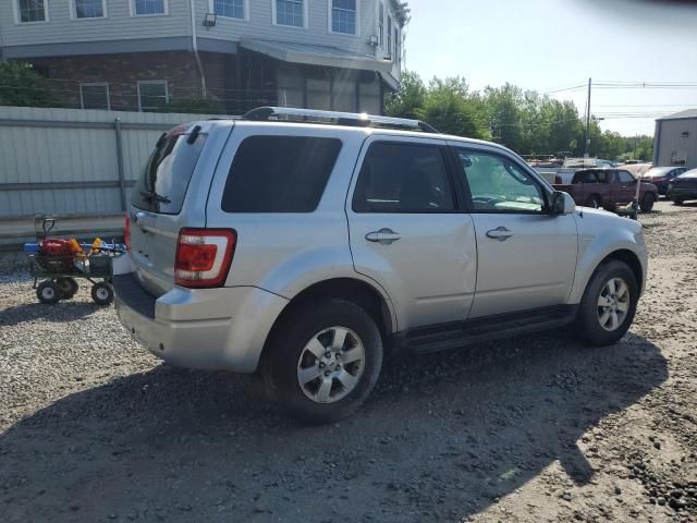 2010 Ford Escape Limited