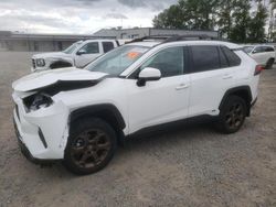 Salvage cars for sale from Copart Arlington, WA: 2023 Toyota Rav4 Woodland Edition