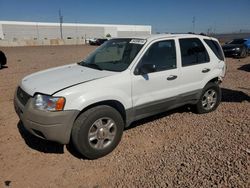 Ford Escape Vehiculos salvage en venta: 2003 Ford Escape XLS