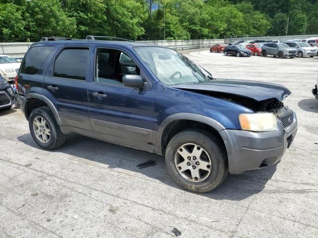 2004 Ford Escape XLT