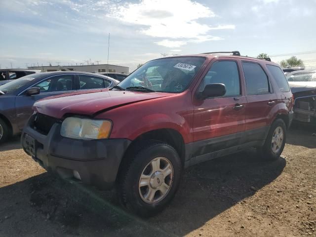 2003 Ford Escape XLT