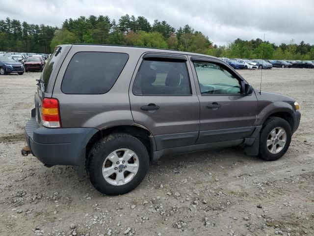 2005 Ford Escape XLT