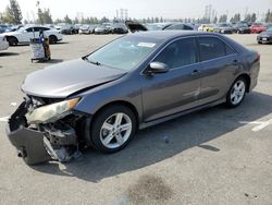 Salvage cars for sale from Copart Rancho Cucamonga, CA: 2014 Toyota Camry L